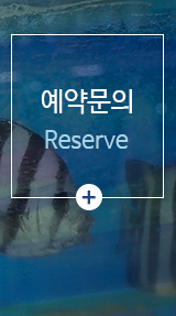 거기활어회 예약문의